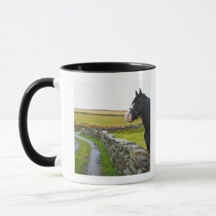 Taza Caballo en granja en Inglaterra rural