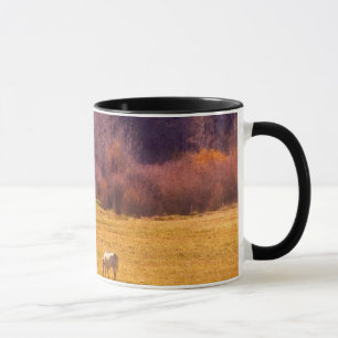 Taza Caballo en la caída I