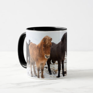 Taza Caballo islandés durante el invierno en Islandia