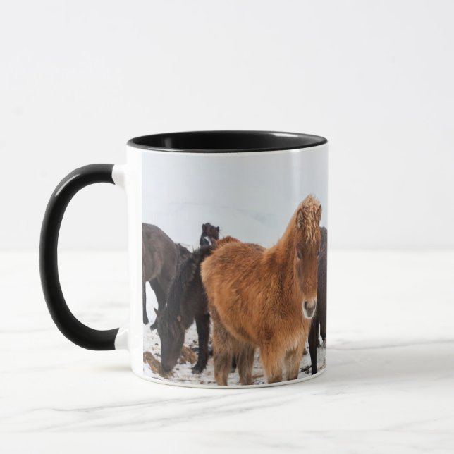Taza Caballo islandés durante el invierno en Islandia (Izquierda)