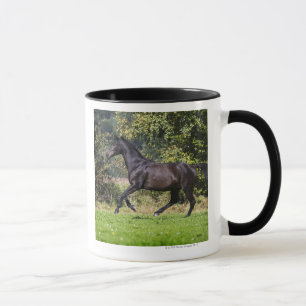 Taza caballo marrón que corre en prado