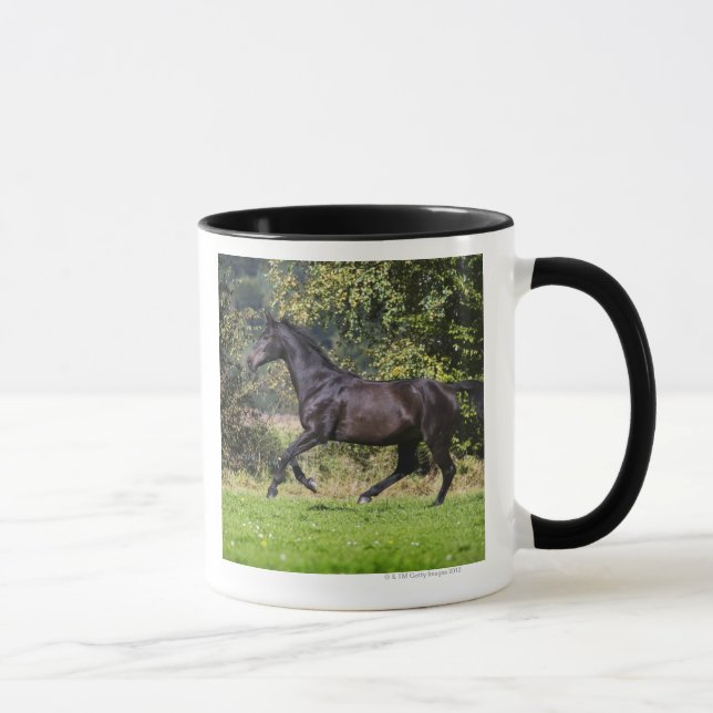 Taza caballo marrón que corre en prado (Derecha)