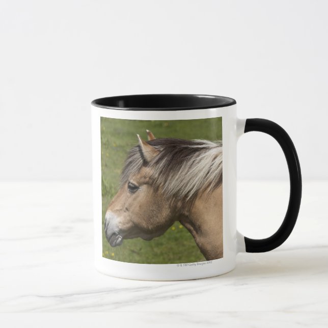 Taza Caballo noruego del fiordo (Derecha)