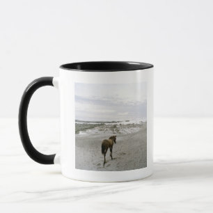 Taza Caballo que camina en la playa