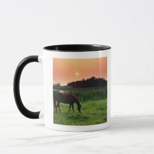 Taza Caballo que pasta en campo en la puesta del sol