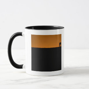 Taza Caballo que pasta en la granja de Kentucky