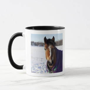 Taza Caballo que pasta en un campo nevado en Ekero