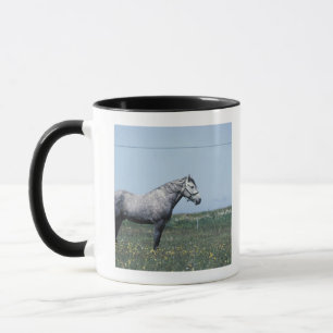 Taza Caballo que se coloca en campo