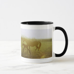 Taza Caballo y potro que corren en pasto