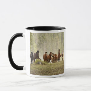 Taza Caballos coronando una pequeña colina durante la r