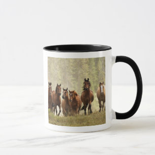 Taza Caballos creyendo una pequeña colina durante el re