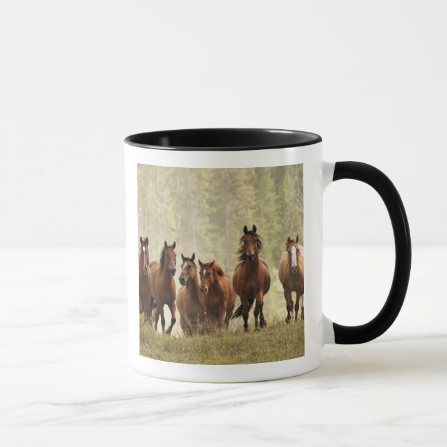 Taza Caballos creyendo una pequeña colina durante el re (Derecha)