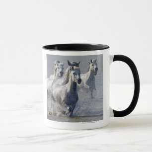Taza Caballos de Camargue que corren en la región