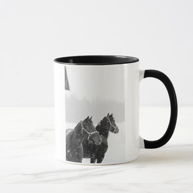 Taza Caballos de nieve (Derecha)