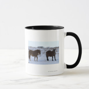 Taza Caballos en el cabo Kiritappu, prefectura de