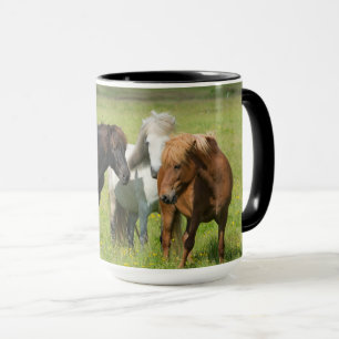 Taza Caballos en el Rancho, sur de Islandia