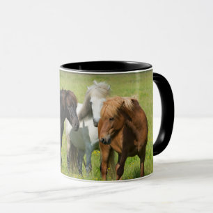 Taza Caballos en la granja, sur de Islandia