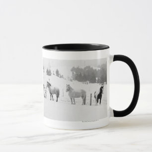 Taza Caballos en rancho
