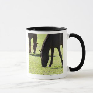 Taza Caballos que pastan 2