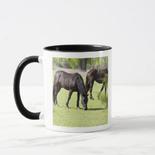 Taza caballos que pastan en una granja del caballo