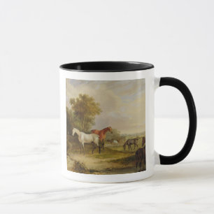 Taza Caballos que pastan: Un semental gris que pasta
