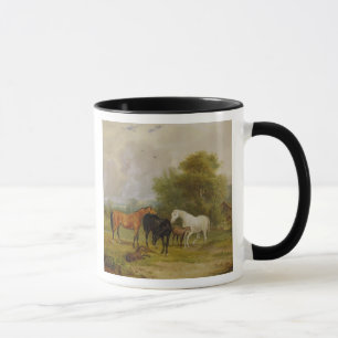 Taza Caballos que pastan: Yeguas y potros en un campo