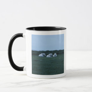 Taza Caballos que se sientan en el campo, Perci,