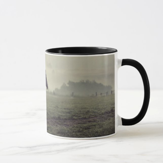 Taza Caballos salvajes (Derecha)