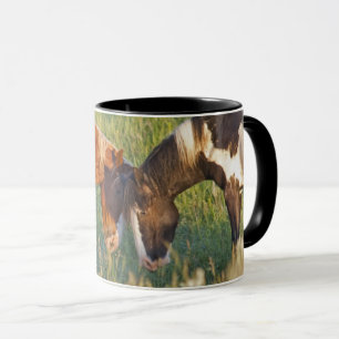 Taza Caballos salvajes en el Parque Nacional Theodore R