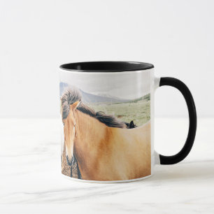 Taza Caballos tricolores de Islandia