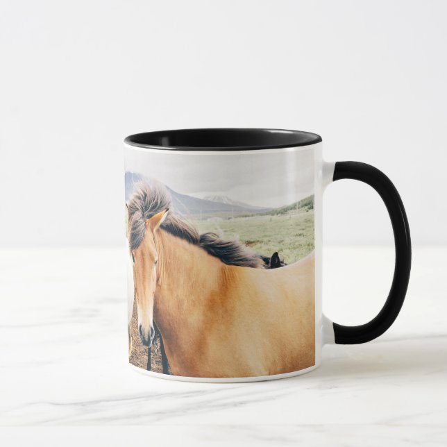 Taza Caballos tricolores de Islandia (Derecha)