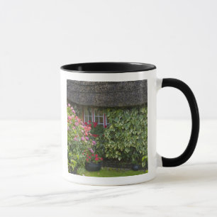 Taza Cabaña con techo de paja, Adare, condado de Limeri