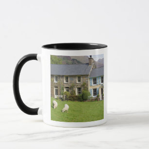 Taza Cabañas, Beddgelert, Gwynedd, Gales