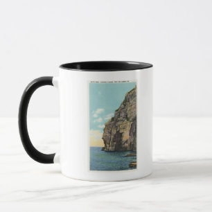 Taza Cabeza blanca en el puerto de Portland