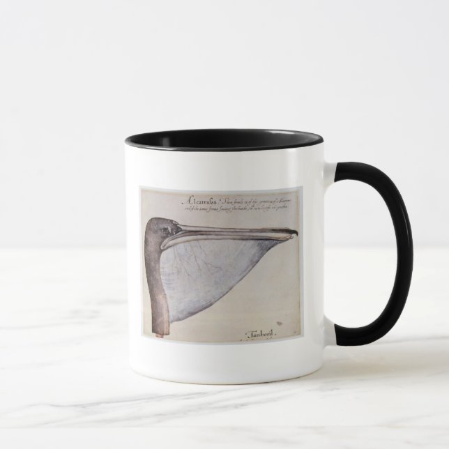 Taza Cabeza de un pelícano de Brown (Derecha)