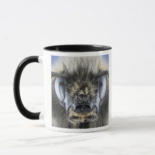 Taza Cabeza del abejorro