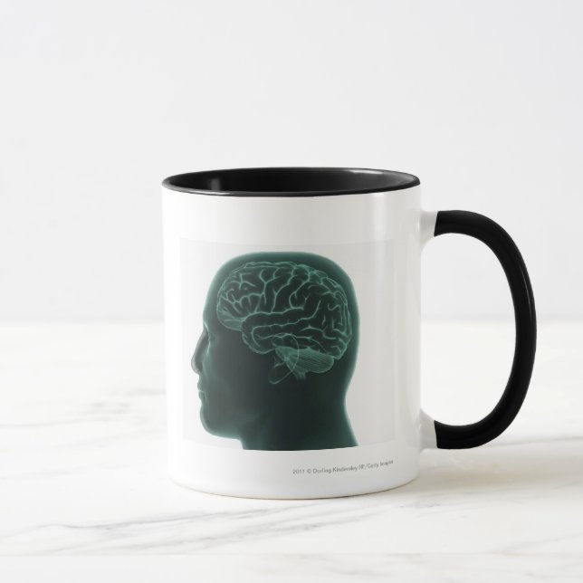 Taza Cabeza humana en el perfil que muestra el cerebro (Derecha)