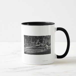 Taza Cabinas del centro turístico de Tahkenitch del