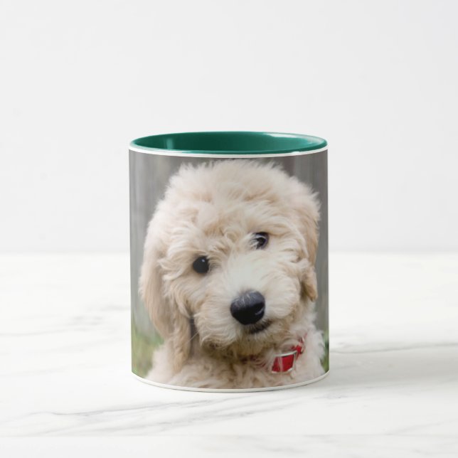 Taza Cachorro de goldendodo se sienta en la hierba (Centro)
