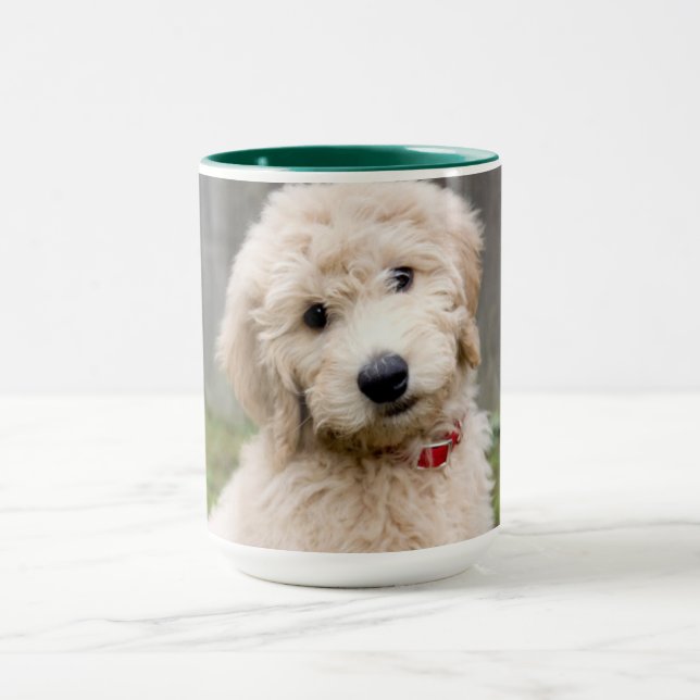 Taza Cachorro de goldendodo se sienta en la hierba (Centro)