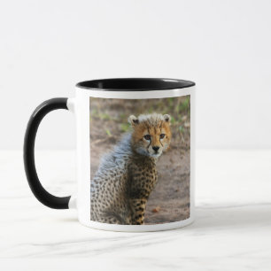 Taza Cachorro de Guepardo Acinonyx Jubatus)