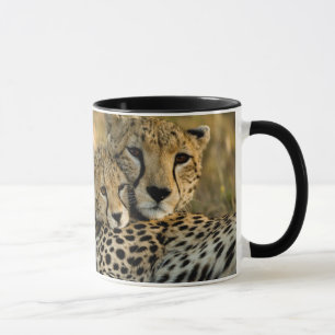 Taza Cachorro de Guepardo Acurrucado con su Mamá