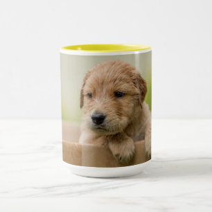Taza Cachorro de recuperación de oro en caja
