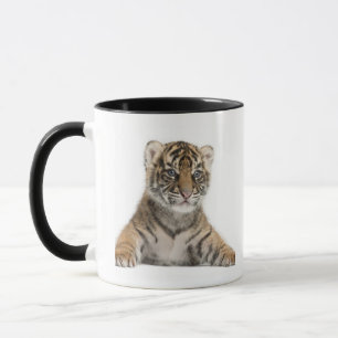 Taza Cachorro de tigre de Sumatran