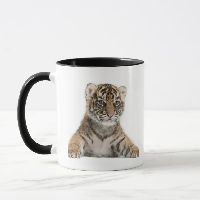 Taza Cachorro de tigre de Sumatran (Izquierda)