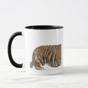 Taza Cachorro de tigre de Sumatran - sumatrae del