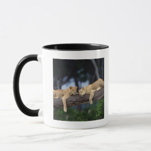 Taza Cachorros de león que mienten en la rama de árbo