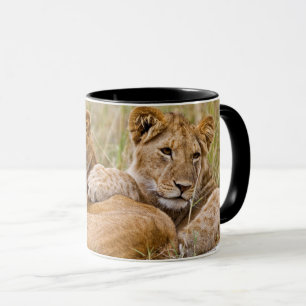 Taza Cachorros de León Reposando