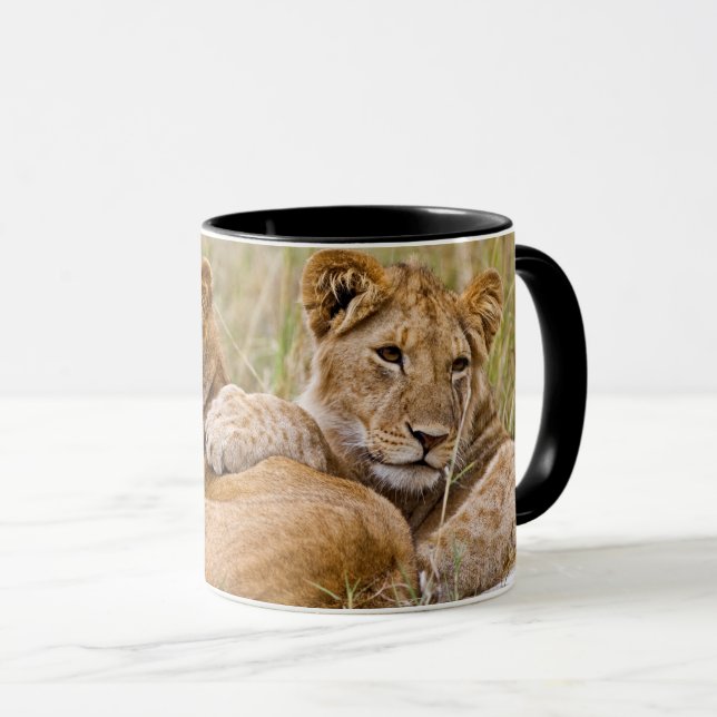 Taza Cachorros de León Reposando (Anverso derecho)