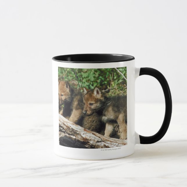 Taza Cachorros de lobo de madera (Derecha)